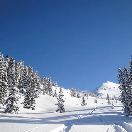 Apartman Appartementhaus Eberharter Hart im Zillertal