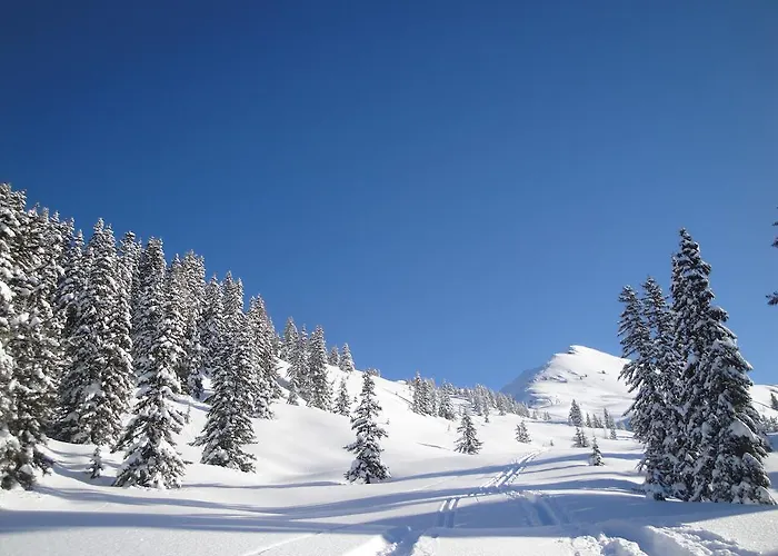 Apartment Appartementhaus Eberharter Hart im Zillertal